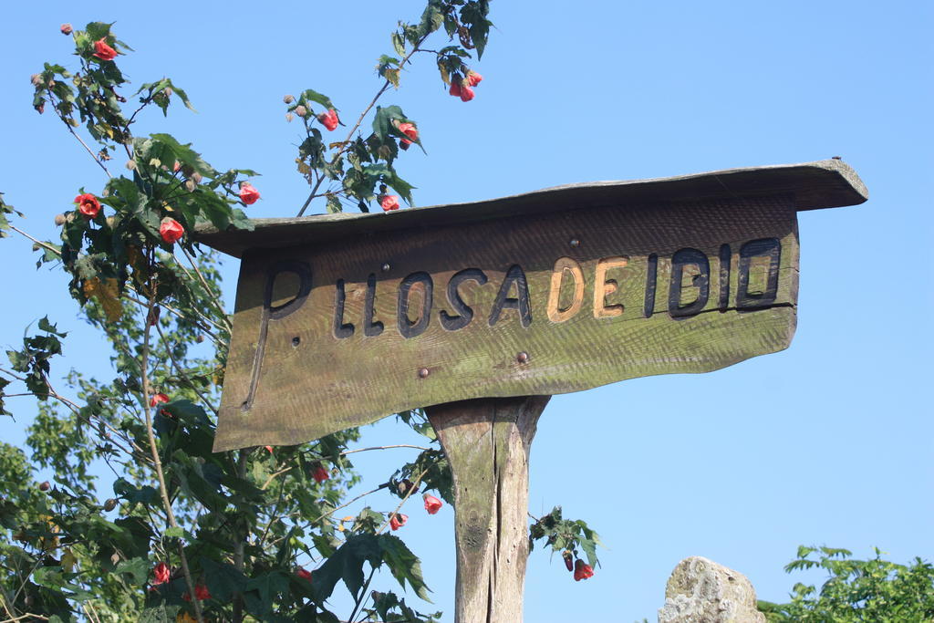 Llosa De Ibio 외부 사진
